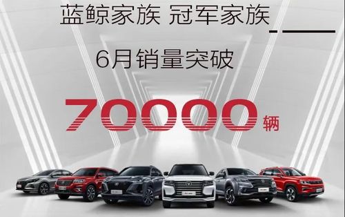 長安汽車6月銷量破19萬 自主發力,合資回暖