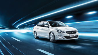 合肥大名銀獅汽車銷售服務 專業汽車銷售與全方位客戶體驗